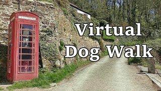 Relaxing TV for Dogs - Virtual Dog Walk with Gentle Music 