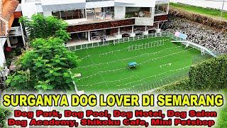 Surganya Dog Lover Di Semarang - Kichi Dog Hub