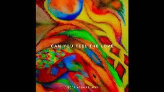 Egor Voda ft. Kiwi - Can you feel the Love