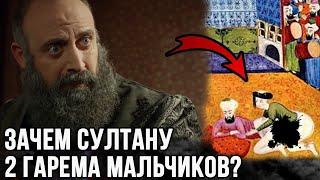 Что из себя представляли гаремы мальчиков? Почему их было 2 ?