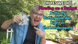 Budget Gardening:  Planting a Butterfly-Pollinator-Cut Flower Garden Area