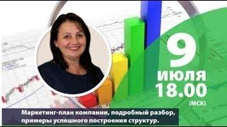 Маркетинг-план компании Vesta Organic