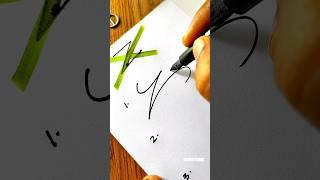 How to sign the letter Z  ?