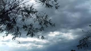 Rain Sky | Background Video | bg Videos |