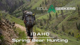 Spring Bear Hunting in Idaho