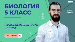 Жизнедеятельность клетки. Урок 10. Биология 5 класс