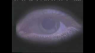 Abood Law Firm "Blink of An Eye" 2003