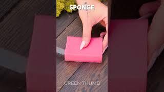 Genius Gardening Hacks: Uncommon Plant Care Tips