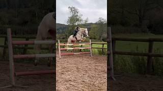 Just Ivy & her best friend #horse #equestrian #horselover #horseriding #showjumping #stallion