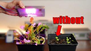 "Magical" LEDs let my plants grow faster? (Experiment) The Future of Farming!