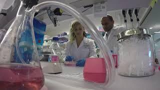 Inside the Abigail Wexner Research Institute at Nationwide Children's Hospital