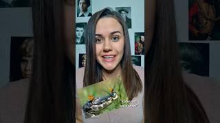 У писателей свои причуды #чехов #писатели #поэты #стихи #интересныефакты