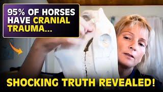 Did You Know That 95% Of Horses Have Cranial Trauma? || Holistic Horseworks Talks