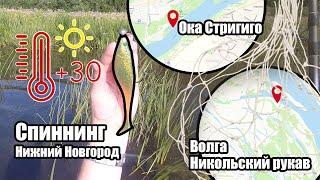 Рыбалка на спиннинг в Нижнем Новгороде. Волга и Ока в черте Нижнего Новгорода. Рыбалка в жару