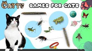 CAT TV | Best Bugs Ultimate Compilation For Cats | CAT GAMES with 3D Sound