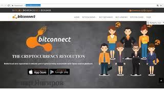 Полный обзор платформы BitConnect. Как заработать на криптовалюте!