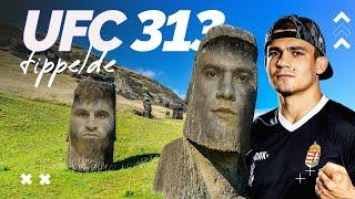  CHAMA UFC 313 TIPPELDE 