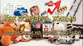 живые подписчики на youtube получить подписчиков сейчас в данный момент живых X