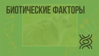 Биотические факторы. Видеоурок по биологии 11 класс