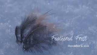 Feathered Frost