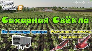 Farming Simulator 19 - Сахарная Свёкла. Как собрать и продать много урожая.