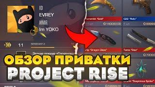 ОБЗОР НОВОЙ ПРИВАТКИ PROJECT RISE! НОВЫЙ НОЖ ТАНТО, РЫНКОК И БРЕЛОКИ! | КАК СКАЧАТЬ PROJECT RISE?