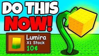 How To Get The NEW LUMIRA SEED on Grow A Garden Roblox!!