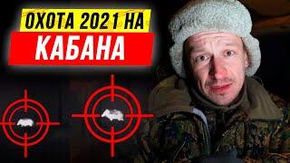 Охота на КАБАНА с вышки. Ночная охота на кабана с вышки зимой 2021.