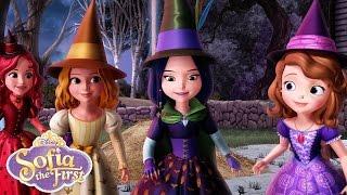 The Broomstick Dance | Music Video | Sofia the First | @disneyjr