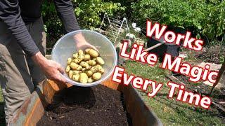 Potatoes reveal, Managing drought conditions, Food Garden update 19th June 2025