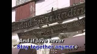 AVSEQ08 What's Forever For - Michael Martin Murphey