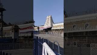 Miracle of tirupati balaji temple #tirumala #tirupati #shorts