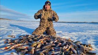 ДИКИЙ КЛЁВ В ДИКИЙ ВЕТЕР!!! ТОННЫ РЫБЫ ПОД ВОДОЙ!!!!