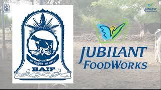 JUBILANT FOOD CSR PROJECT WITH BAIF CATTLE DEV PROG | VIDEOKRAFT PRODUCTIONS