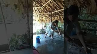 Mini #vlog