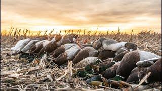 Waterfowl Hunting "Canada of the South" - Fowled Reality