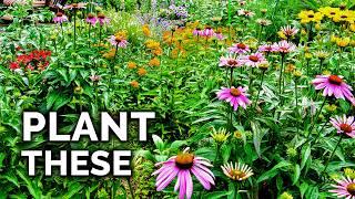 How to Plant a Pollinator Garden