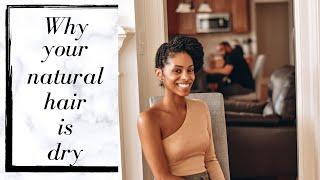 Why your natural hair is dry || Klassically Kept