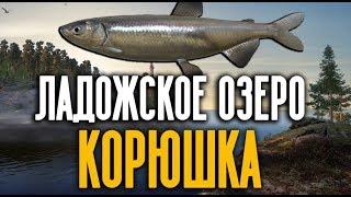 РУССКАЯ РЫБАЛКА 4. Корюшка на Ладоге. Эффективная ловля на махи.