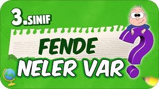 3. Sınıf Fende Neler Var? Fen Dersine Nasıl Çalışır