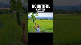 BOUNTIFUL HARVEST #food #foodie#life