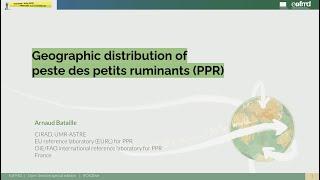 Geographic distribution of peste des petits ruminants (PPR)