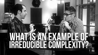 927. What Is An Example Of Irreducible Complexity?