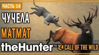 theHunter Call of the Wild #14  - Разведка Боем - Кoмпозиции из Чучeл