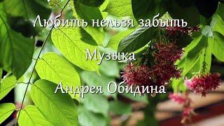 «Любить нельзя забыть».  Музыка - Андрей Обидин (Волшеб-Ник), видео - Инна Скокова (Искусница)