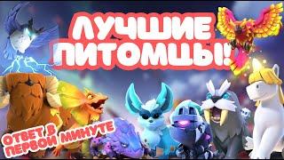  ЛУЧШИЕ ПИТОМЦЫ ДЛЯ ГЕРОЕВ!  90% ИГРОКОВ ПРОКАЧИВАЮТ НЕ ТО! CLASH OF CLANS