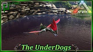 The BEST places to Breed Underwater Dinosaurs on the Island in Ark's The Underdogs 74