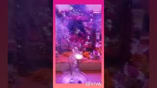 gopal tharo palaniya jhule re ..... krishna ji Vedio