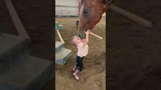 This song is on repeat at our home! #horse #equestrianjourney #horsegirl #horselover #love