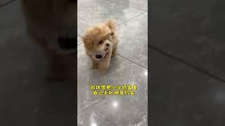 Little Dou with a small Mouth Mom If you don t take me out to play I ll run away from home